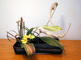 Ikebana - Foto meramente ilustrativa