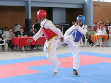 Cerca de 250 atletas de vrias cidades participaram do 9 Open de Taekwondo em Terespolis - Foto: Divulgao