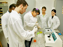 Estudantes do curso de Farmcia do UNIFESO em atividade nos Laboratrios Multidisciplinares, no Campus Quinta do Paraso - Foto: Arquivo Unifeso