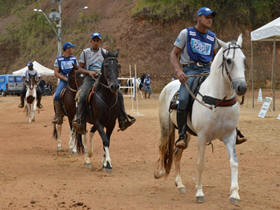 Cavalos Pampa - Foto: Jeferson Hermida