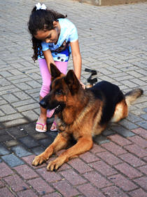 A pequena Luiza brinca com o co policial Thor durante o patrulhamento - Foto: Marcelo Rosa