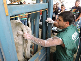 Veterinária no II CONFESO - foto: Unifeso