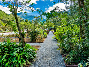 Horto Municipal de Teresópolis - Foto: AsCom PMT