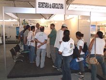 Clique para ampliar - Foto: Portal Terê