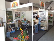 Clique para ampliar - Foto: Portal Ter�