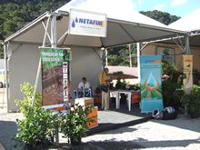 Clique para ampliar - Foto: Portal Ter�