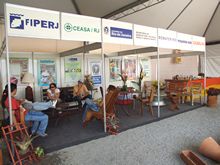 Clique para ampliar - Foto: Portal Terê
