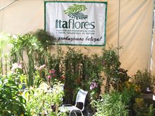 Clique para ampliar - Foto: Portal Ter�