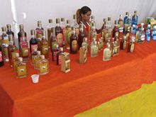 Clique para ampliar - Foto: Portal Ter�
