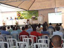 Clique para ampliar - Foto: Portal Ter�