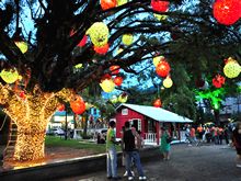 Clique para ampliar - Fotos: Claudio Furtado e Roberto Ferreira