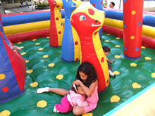 Clique para ampliar - Foto: Portal Ter�