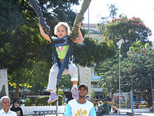 Clique para ampliar - Foto: Portal Terê