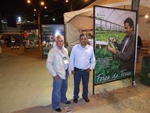 Clique para ampliar - Foto: Portal Terê