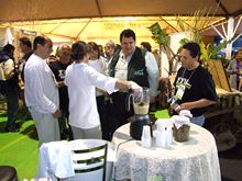 Clique para ampliar - Foto: Portal Terê