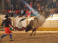Clique para ampliar - Foto: Portal Terê