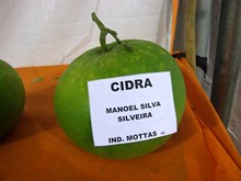 Clique para ampliar - Foto: Portal Ter
