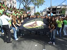Clique para ampliar - Foto: Portal Ter