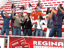 Clique para ampliar - Foto: Portal Terê