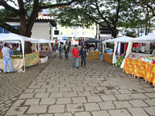 Clique para ampliar - Foto: Portal Terê