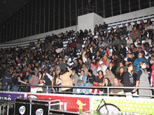 Clique para ampliar - Foto: Portal Terê
