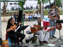 Clique para ampliar - Foto: Portal Terê