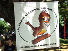 Clique para ampliar - Foto: Portal Ter