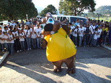 Clique para ampliar - Foto: Portal Terê