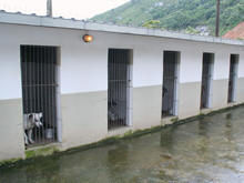 Foto: Marcos Esteves