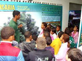 Foto: Marcelo Ferreira