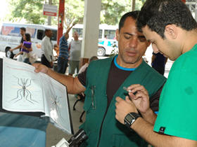 Foto: Marco Esteves