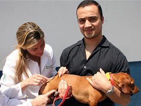 Vacinao em 2008 - Foto de arquivo