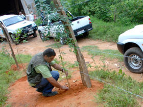 Foto: Jeferson Hermida