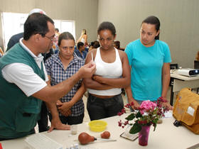 Agentes comunitários de saúde aprendem a identificar a larva do mosquito transmissor da dengue - Foto: Marco Esteves