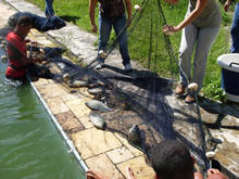 Foto: Sec. de Agricultura