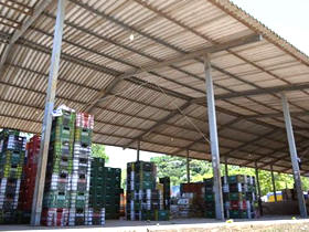Mercado de gua Quente - Foto: Net Dirio