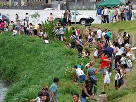Plantio de mudas - Foto: Jeferson Hermida