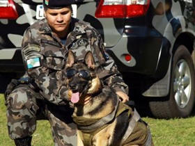 Cão da PMERJ - Foto: Divulgação