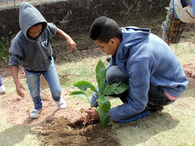 Plantio de mudas - Foto: Jeferson Hermida