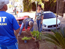 O projeto paisagístico contou com a colaboração voluntária da arquiteta Marta Osaki - Foto: Gisele Barreto
