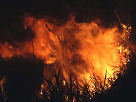 Incêndio na mata - Foto meramente ilustrativa