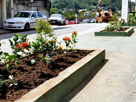 Colorido especial que as flores dão aos canteiros - Foto: Davi Almada