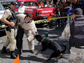Cães da Gurda Municipal - Foto: Jeferson Hermida