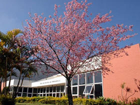 Casa de Cultura - Foto: PMT