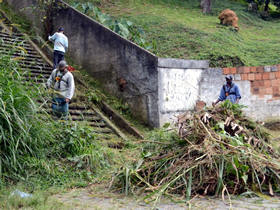 Capina e limpeza na Tijuca - Foto: PMT