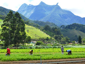 Agricultura em Terespolis - foto de arquivo PMT