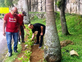 Mudas plantadas na entrada da cidade - Foto: AsCom PMT