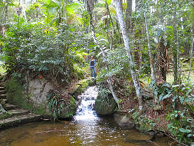 Hiking com interpretao ambiental - Foto ilustrativa