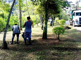 Trecho que margeia o Rio Paquequer ao longo da via pblica - foto: AsCom PMT