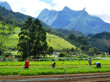 Teresópolis como Capital Estadual da Agricultura Familiar - Imagem ilustrativa de arquivo